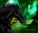 Black_unicorn_by_vampirekingdom[1] – kopie